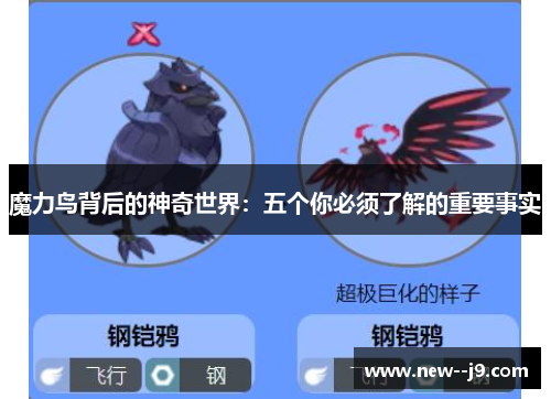 魔力鸟背后的神奇世界：五个你必须了解的重要事实