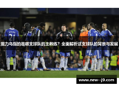 魔力鸟指的是哪支球队的主教练？全面解析这支球队的背景与发展